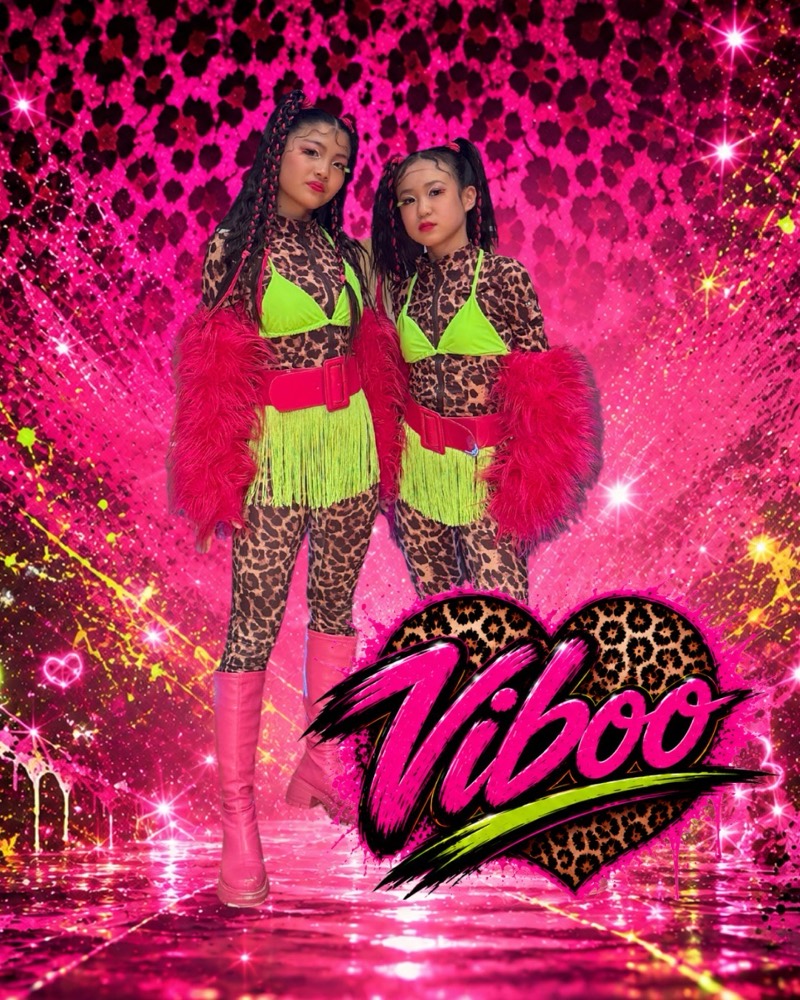 Viboo